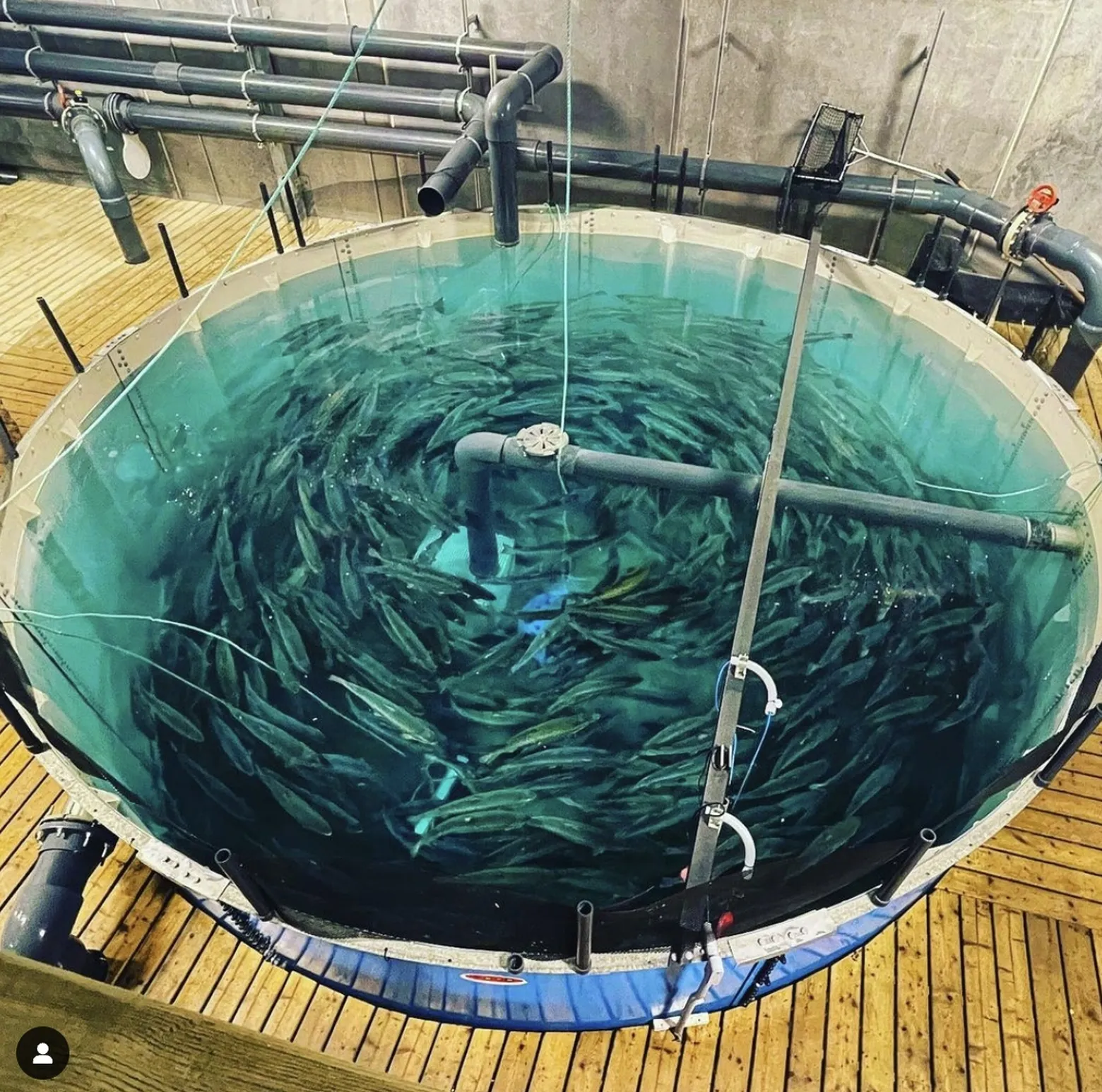 Aquaculture heating